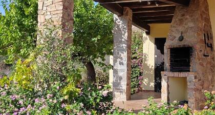 Casa-gina Modern Retreat