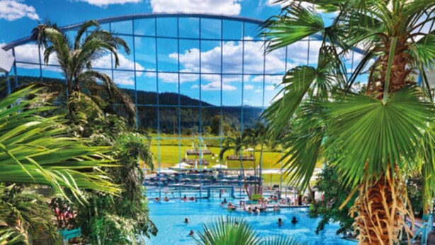 A pool area with palm trees, lounge chairs, and a view of a mountainous landscape. - Yvonne Comfortable Holiday Residence (Titisee-Neustadt)