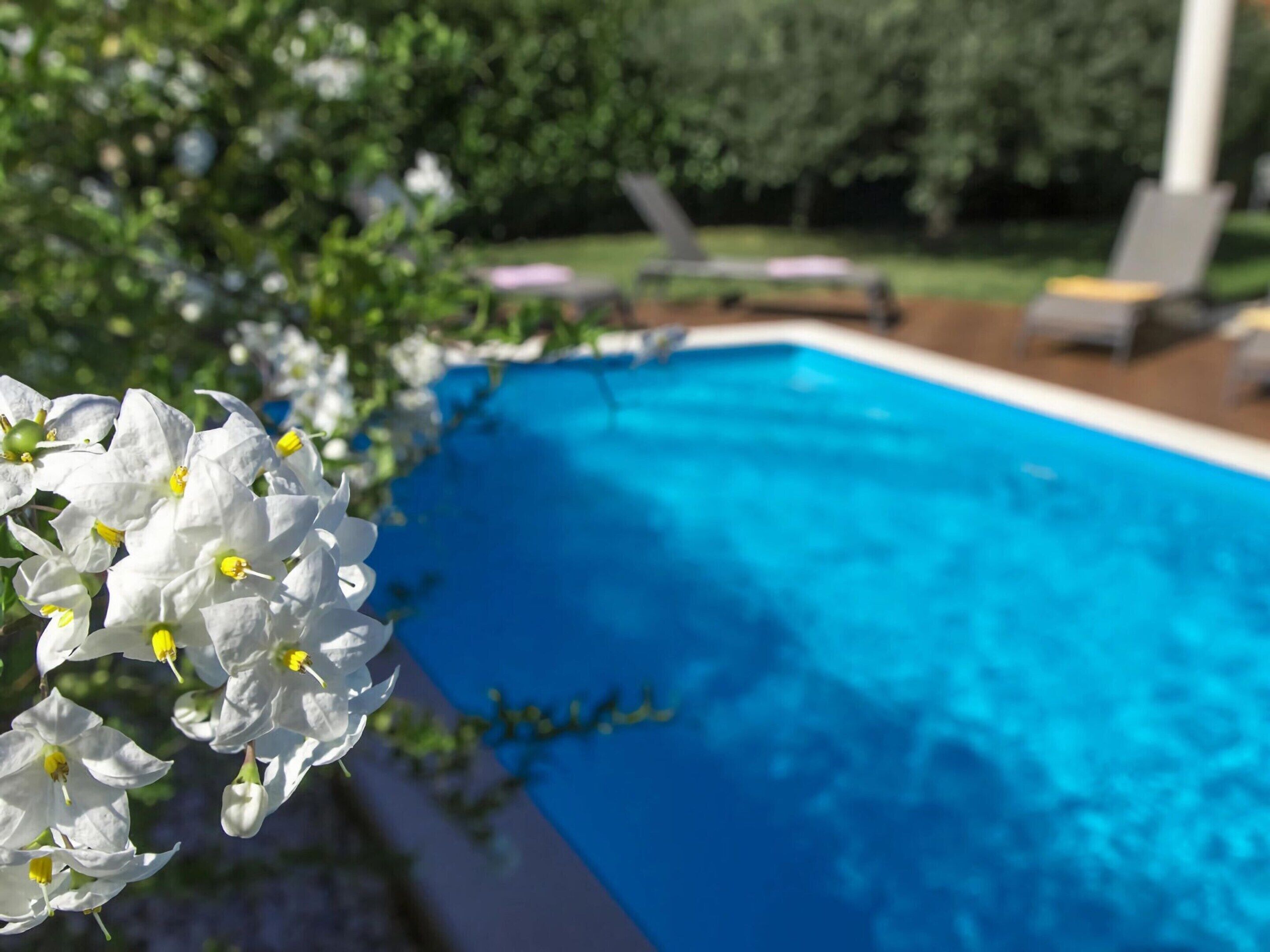 A swimming pool with lounge chairs and a garden with white flowers.