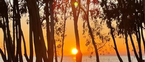 Liegestühle, Strandtücher