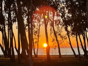Espreguiçadeiras, toalhas de praia 