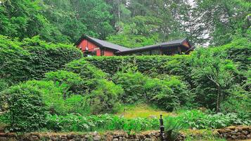 House | Property grounds