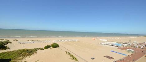 Casa | Vista desde la propiedad