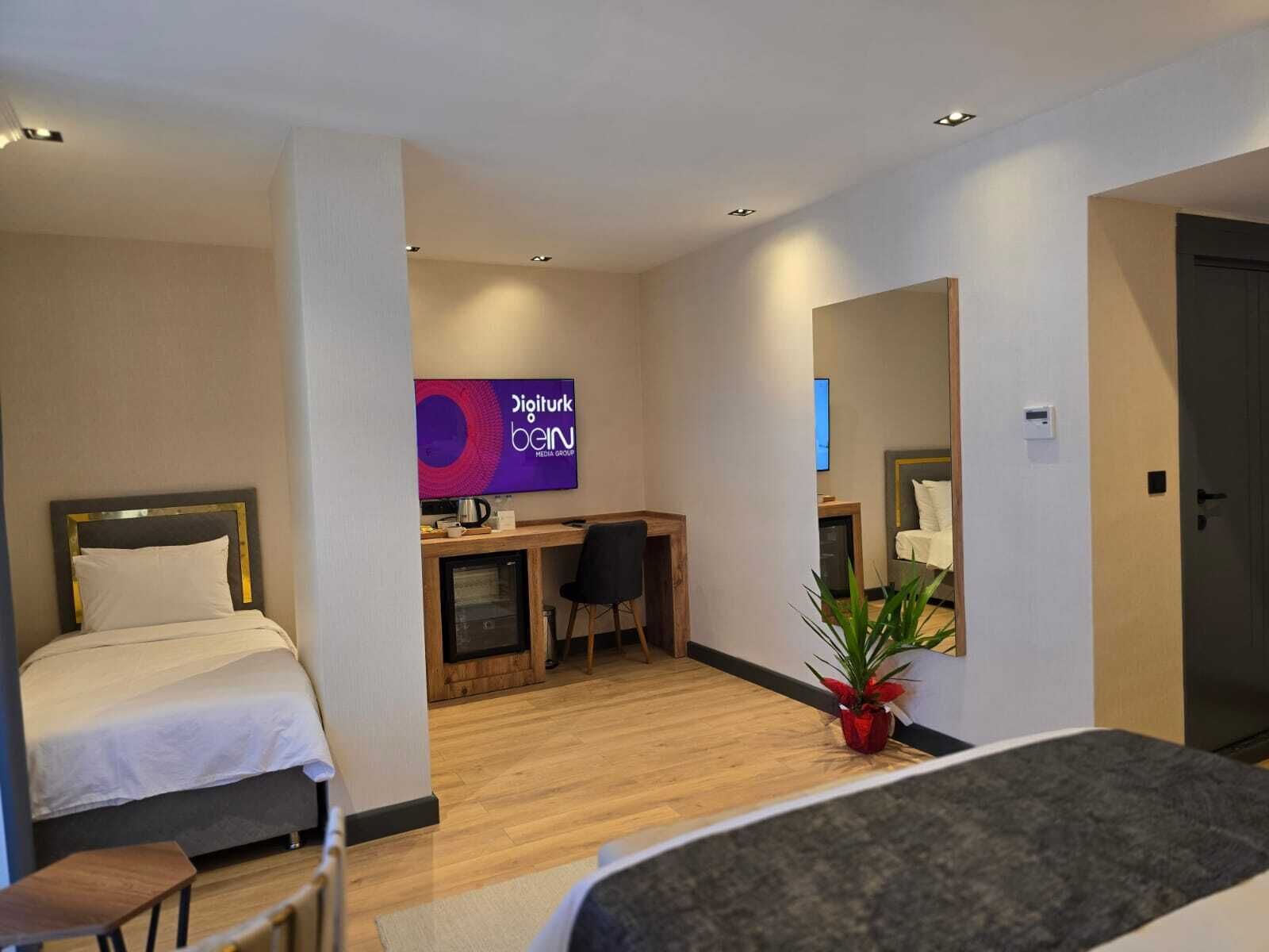 A hotel room with a bed, a desk, a chair, a television, and a potted plant.