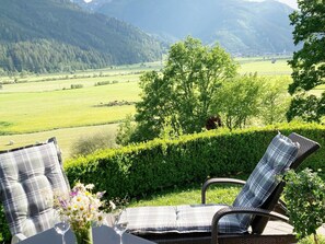 Apartment | Balcony - Holiday Apartment in Pinzgau (Mittersill)