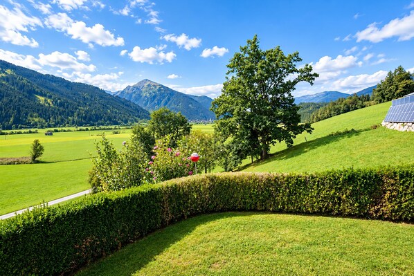 A green landscape with a road, a hedge, and a tree. - Apartment in Mittersill Near ski Lift (Mittersill)