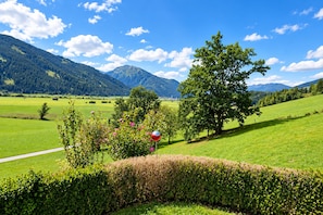 A green landscape with a road, trees, and mountains in the background. - Apartment in Mittersill Near ski Lift (Mittersill)