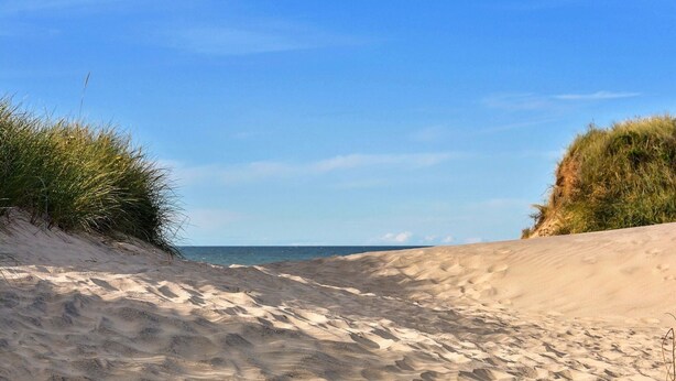 A sandy beach with dunes and sparse vegetation. - Holiday Home in De Cocksdorp (De Cocksdorp)