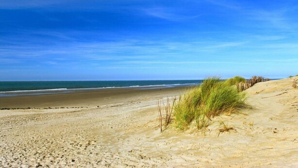 A sandy beach with a clear sky and ocean in the background. - Holiday Apartment Zonnewende 16 (Sint Maartensbrug)