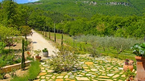 Um caminho pavimentado serpenteia até um edifício, ladeado por vegetação exuberante e um cenário montanhoso.