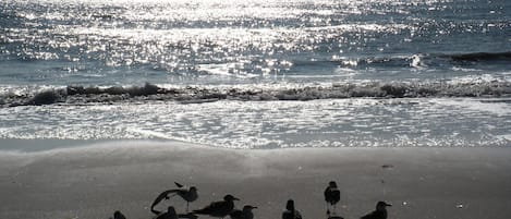 In Strandnähe