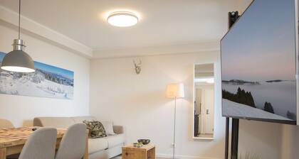 Moderne Wohnung in Neuastenberg mit Balkon
