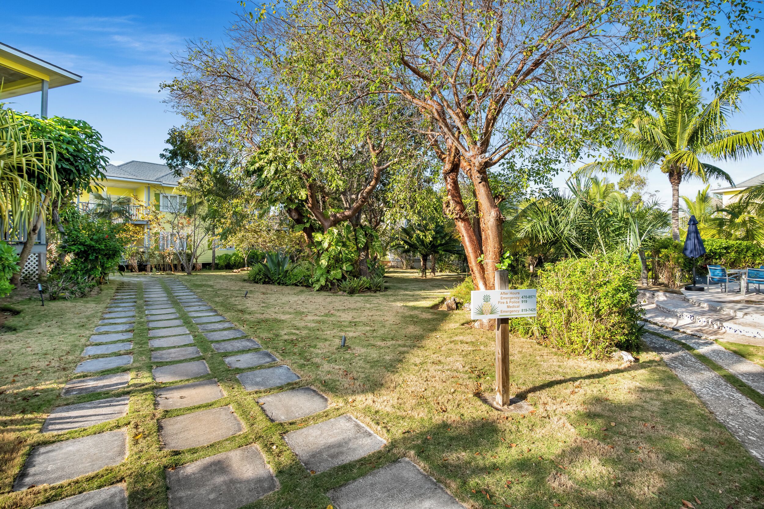 A paved pathway leading to a house with a well-maintained lawn and various trees.