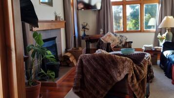 Smart TV, fireplace, books, stereo