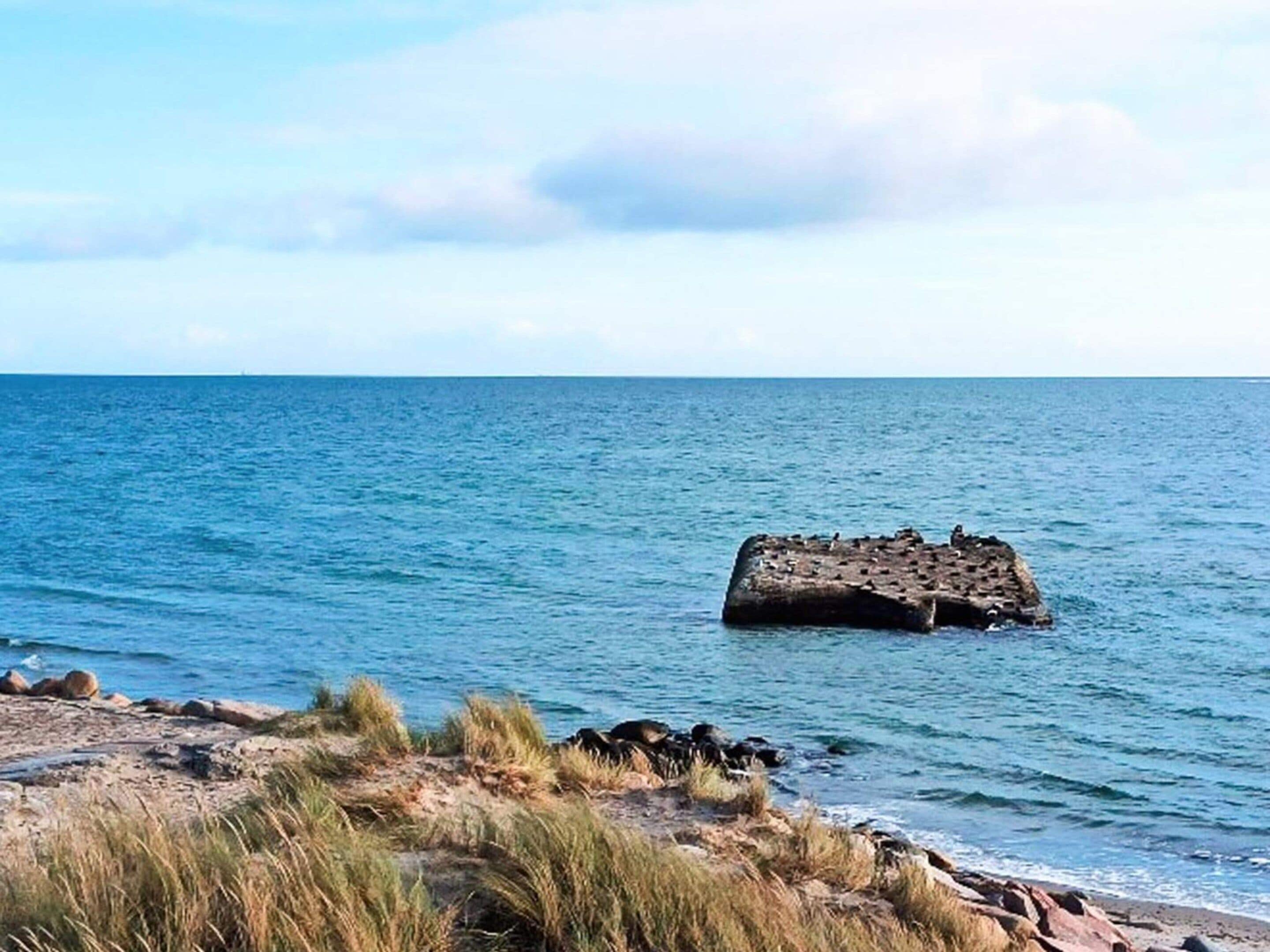 A coastal scene with a rocky outcrop in the water and a grassy foreground.