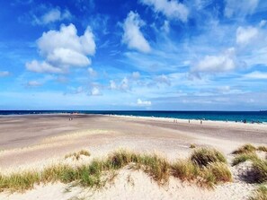 A beach with sand dunes and a clear blue sky. - 5 Star Holiday Home in Skagen (Skagen)