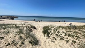A beach with clear skies, sandy dunes, and calm water. - 4 Star Holiday Home in Lottorp (Löttorp)