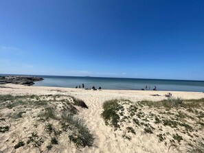 En strand med klare himmel, sandklitter og roligt vand.
