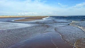 A beach with a wide sandy shore and gentle waves. - 4 Person Holiday Home in Fano (Fano)