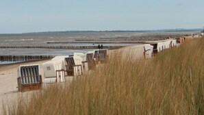 En strand med rader av strandstolar och parasoller, en träbrygga och en sandstrand.