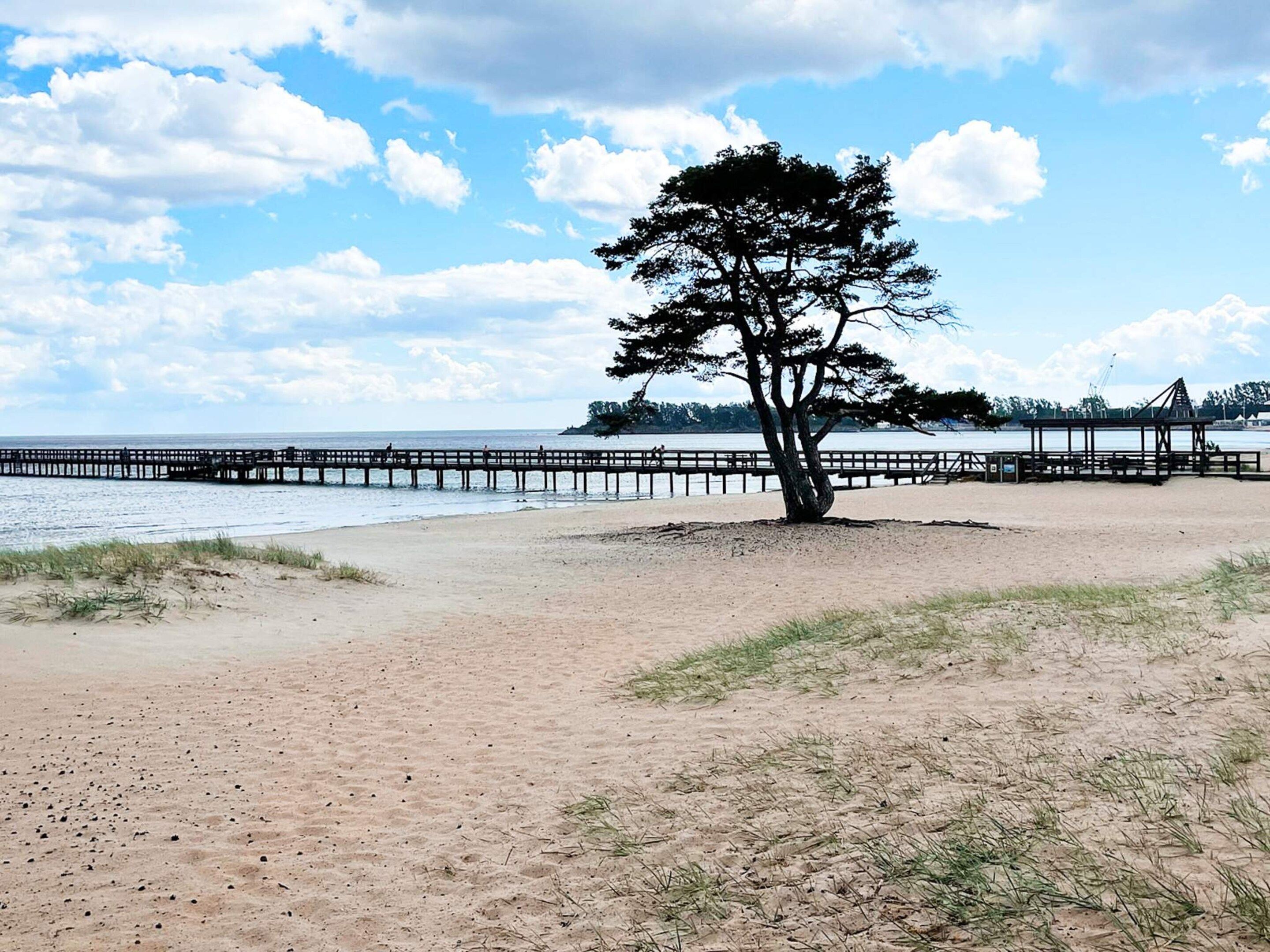 Una playa con un árbol solitario, un muelle que se adentra en el agua y un cielo despejado.
