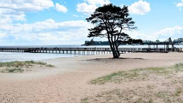 Una playa con un árbol solitario, un muelle que se adentra en el agua y un cielo despejado.
