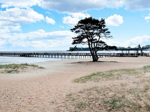 A beach with a lone tree, a pier extending into the water, and a clear sky.