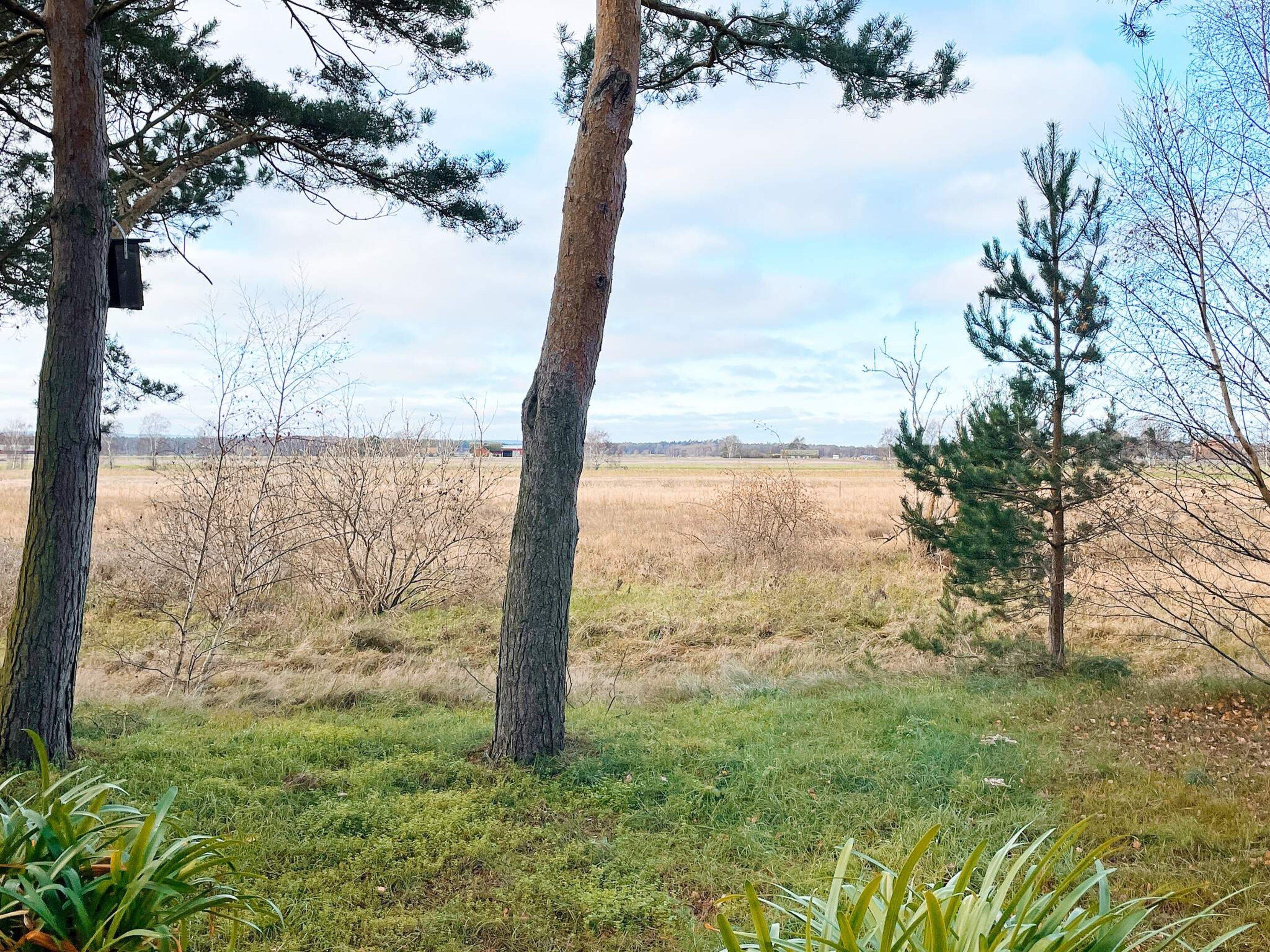 A natural landscape with trees and a grassy field.