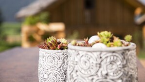 Two intricately designed pots with succulents on a table, set against a blurred wooden structure in the background. - Spacious Chalet in Wolting With Sauna (Tamsweg)