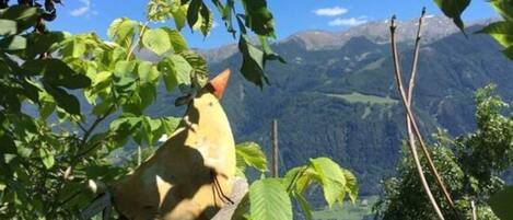 House | 4 bedrooms, individually furnished, iron/ironing board