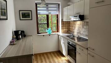 House | Private kitchen | Oven, electric kettle