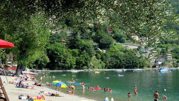 Una playa con gente nadando y tomando el sol, rodeada de árboles y edificios.