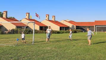 A grassy field with a soccer goal, buildings with red roofs, and flags in the background.