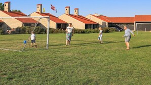 Un campo cubierto de hierba con un arco de fútbol, edificios con tejados rojos y banderas al fondo.