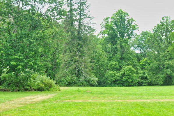 A grassy field with dense trees in the background.