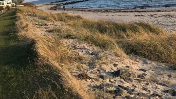 A coastal landscape with a sandy beach, grassy dunes, and a clear sky. - Island Nest Modern Retreat (Fehmarn)