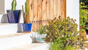 A potted cactus and succulent plants on a balcony with a wooden door and white wall in the background.