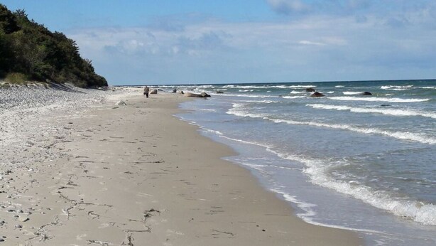 A sandy beach with gentle waves, a clear sky, and a distant hiker. - Wave Rider Comfortable Holiday Residence (Glowe)