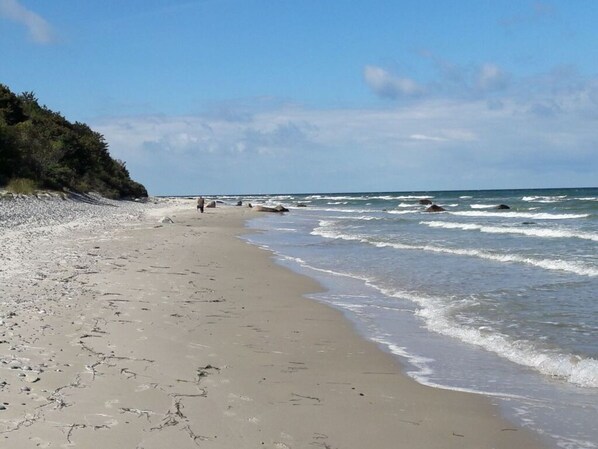 Beach nearby - Wave Rider Comfortable Holiday Residence (Glowe)