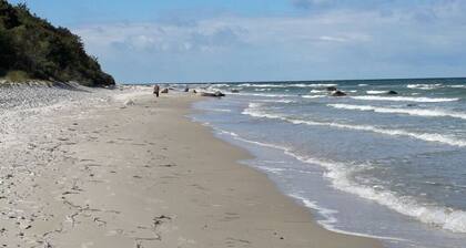 Wave Rider Comfortable Holiday Residence