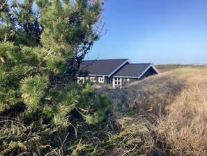 A house with a sloped roof, surrounded by pine trees and dry grass. - 5 Person Holiday Home in Brovst (Brovst)