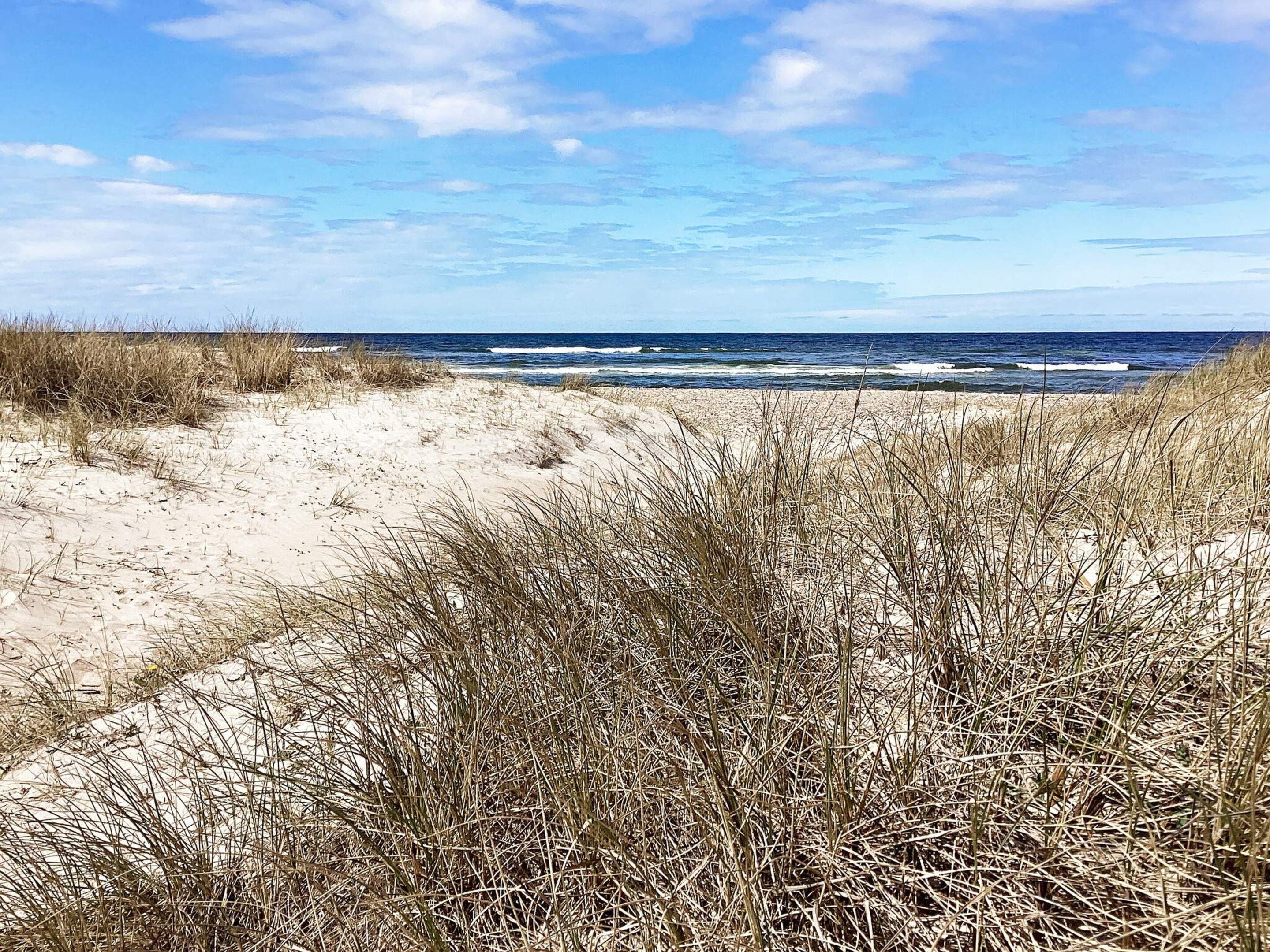 Une plage avec des dunes de sable et de l’herbe au premier plan, qui s’étend jusqu’à l’océan.