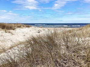 A beach with sand dunes and grass in the foreground, leading to the ocean.