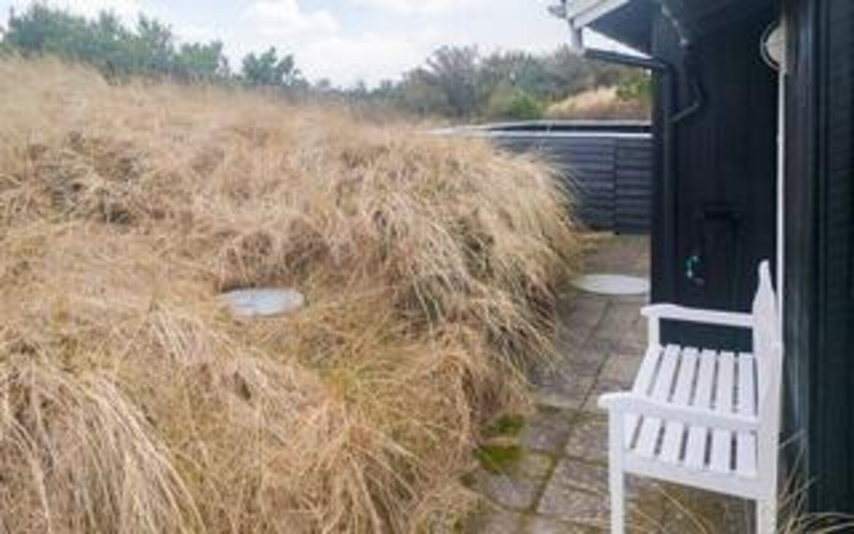 House | Property grounds