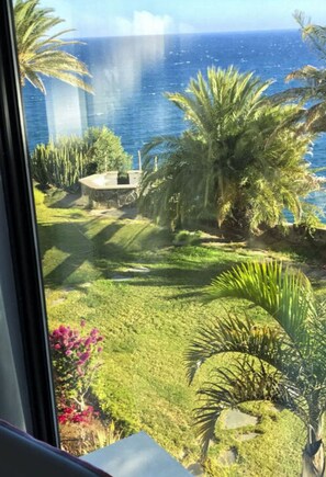 Vista da propriedade