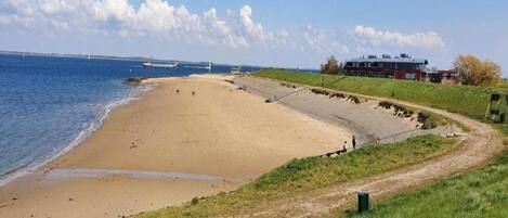 House | View from property