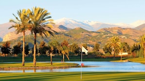 A golf course with a flagstick, palm trees, and a mountain backdrop. - Spacious Apartment With 2 Terraces (Motril)