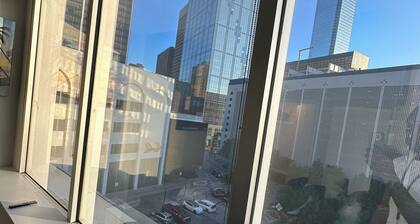 Luxury 1bed1bath Located in the heart of Downtown Dallas