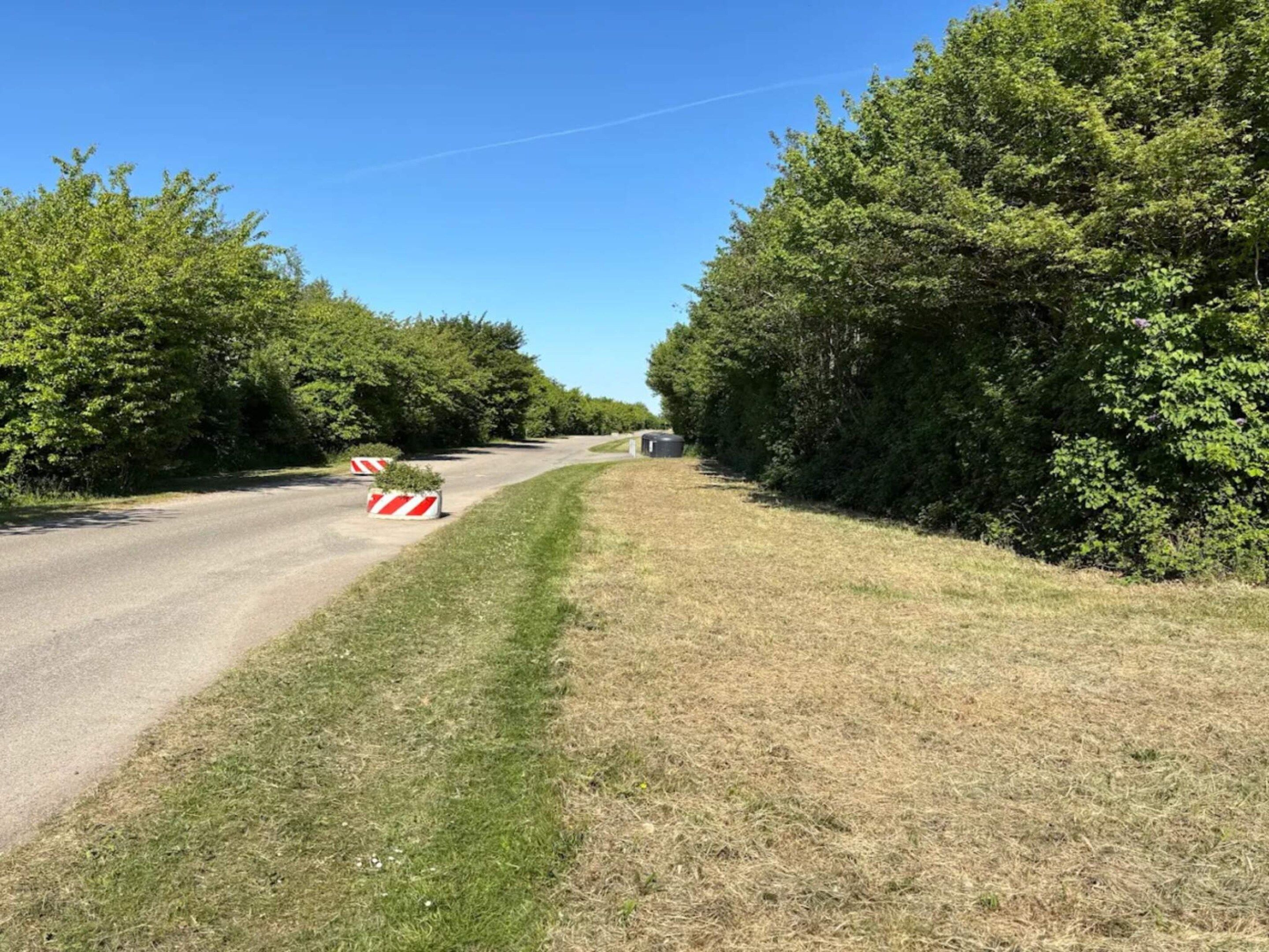 A rural road with a grassy verge and trees on both sides.