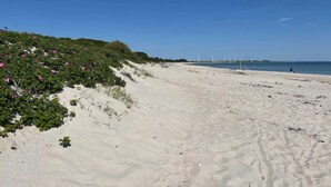 Una playa arenosa con vegetación verde y flores rosadas a la izquierda.